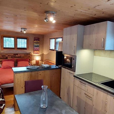 Studio Des Dents De Lanfon Talloires Extérieur photo